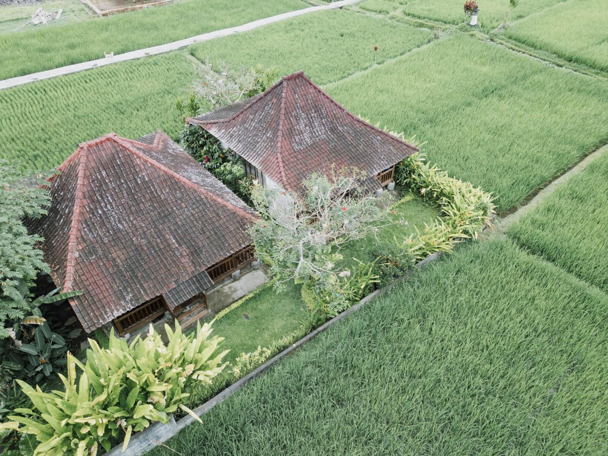 Umadesa Casa de hóspedes Ubud